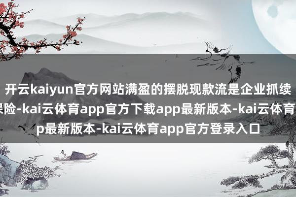 开云kaiyun官方网站满盈的摆脱现款流是企业抓续健康发展的艰苦保险-kai云体育app官方下载app最新版本-kai云体育app官方登录入口