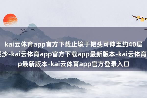 kai云体育app官方下载止境于耙头可伸至约40层楼高的海底吸挖泥沙-kai云体育app官方下载app最新版本-kai云体育app官方登录入口